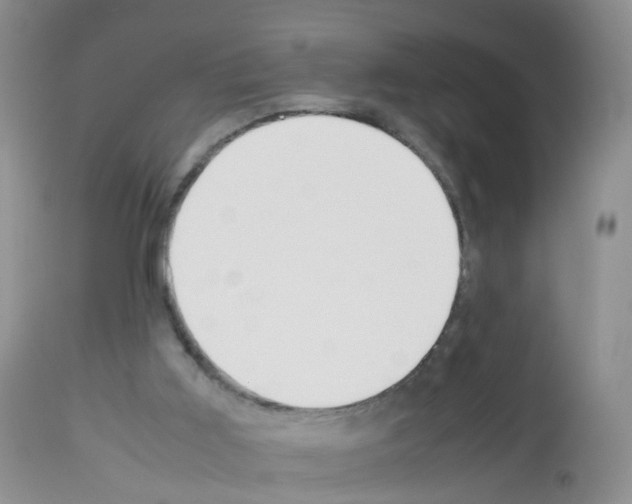 X0000113070011200910091218