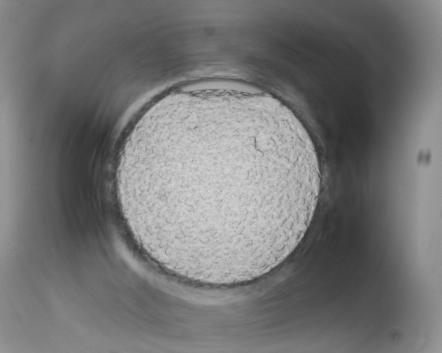 X0000113070012200910091218