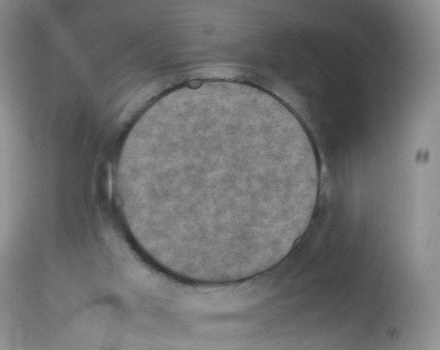 X0000113070013200910091218