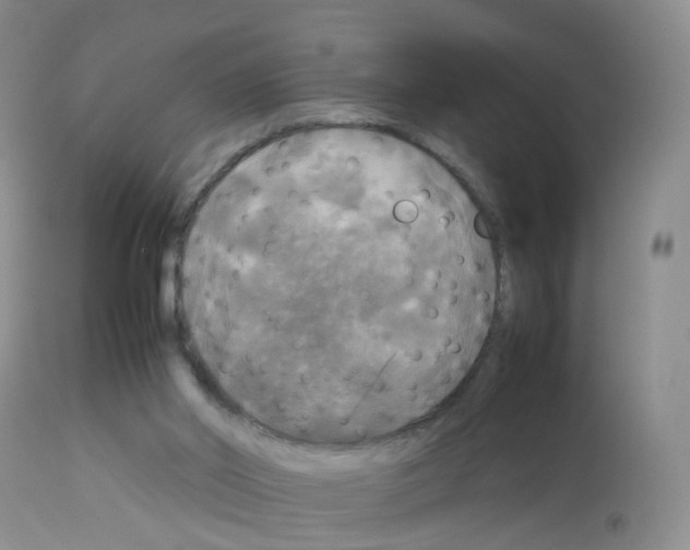 X0000113070014200910091218