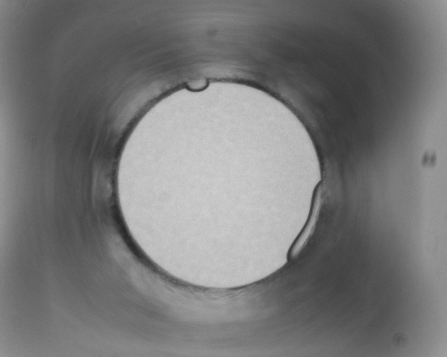 X0000113070015200910091218