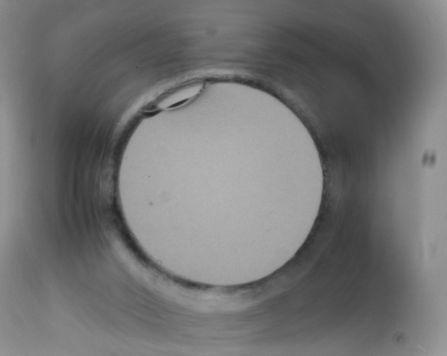 X0000113070016200910091218
