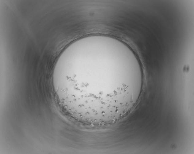 X0000113070017200910091218