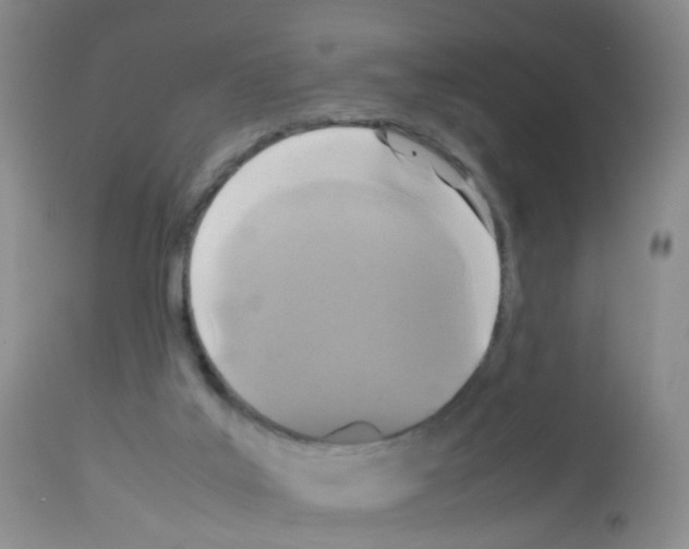 X0000113070019200910091218