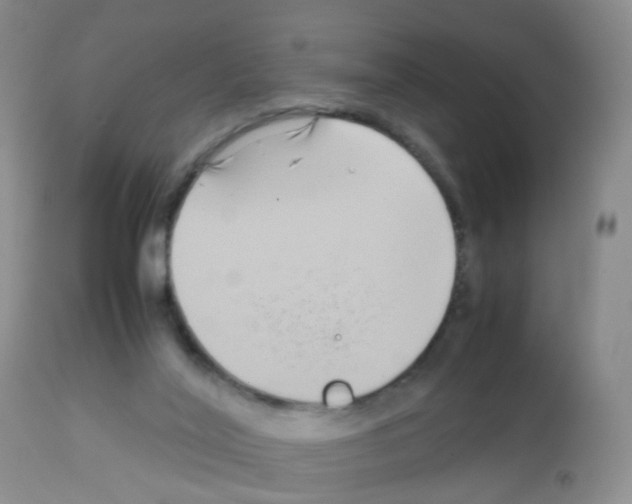 X0000113070020200910091218