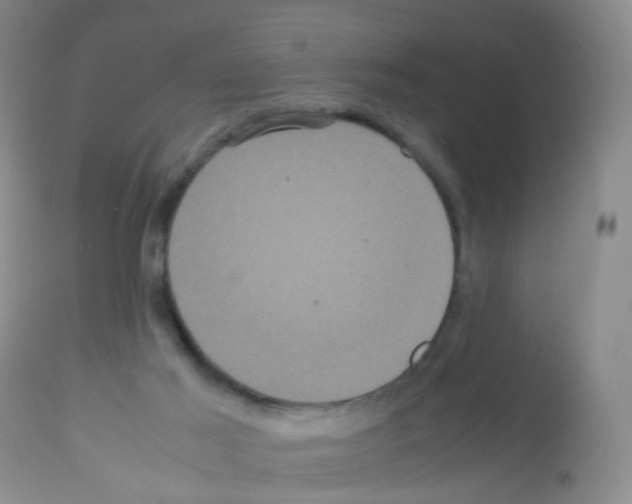 X0000113070021200910091218