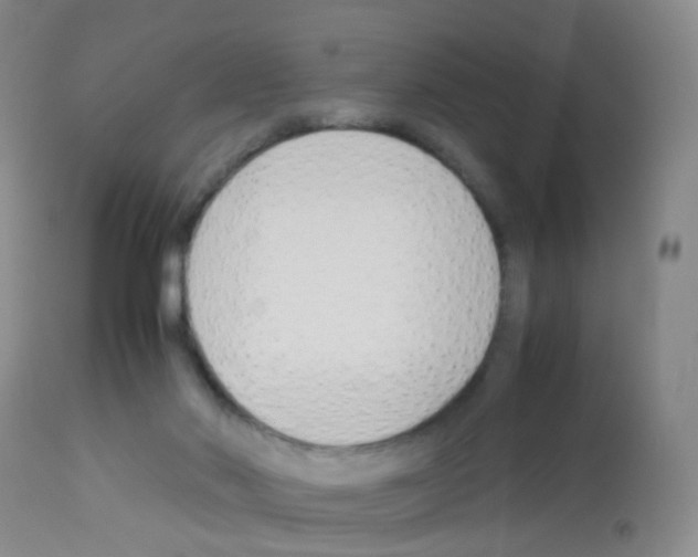X0000113070022200910091218