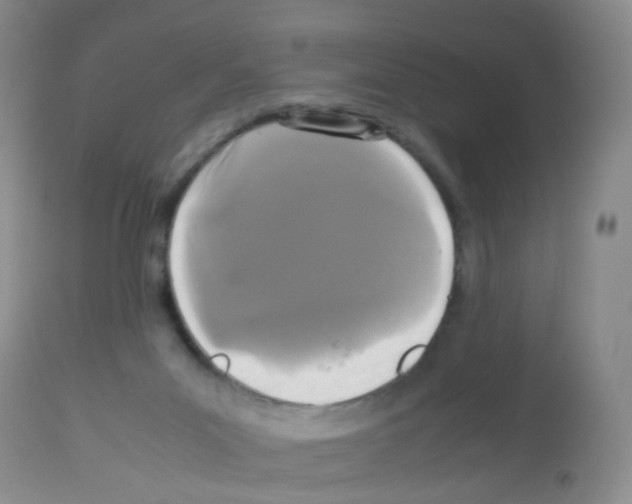 X0000113070023200910091218