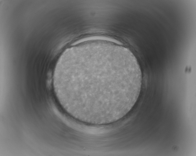 X0000113070024200910091218