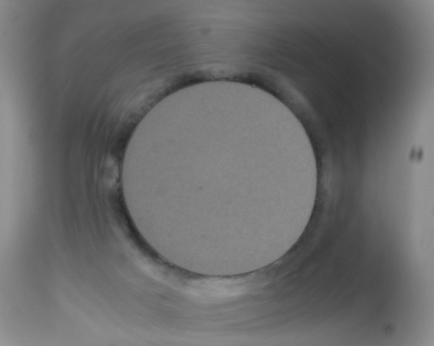 X0000113070025200910091218