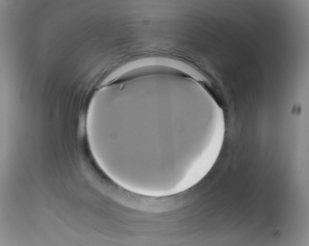 X0000113070027200910091218