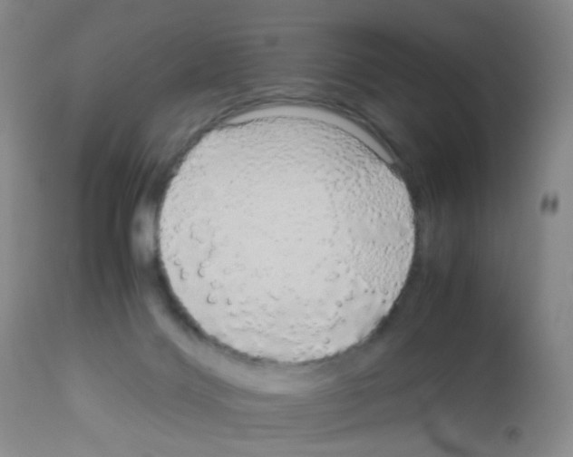 X0000113070028200910091218