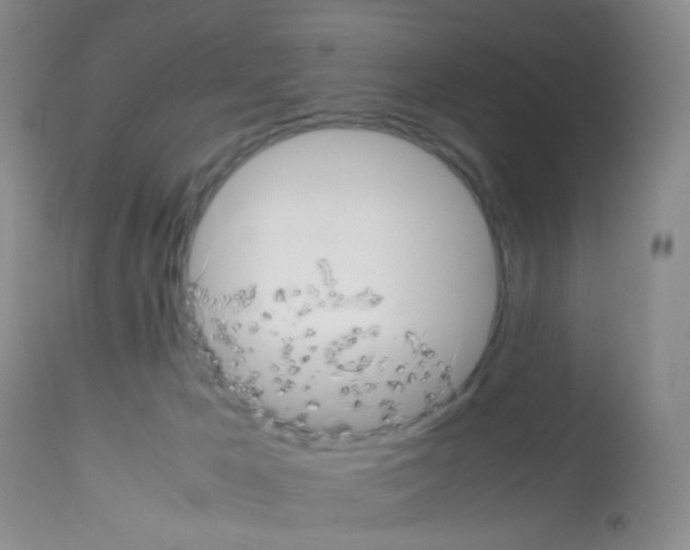 X0000113070029200910091218