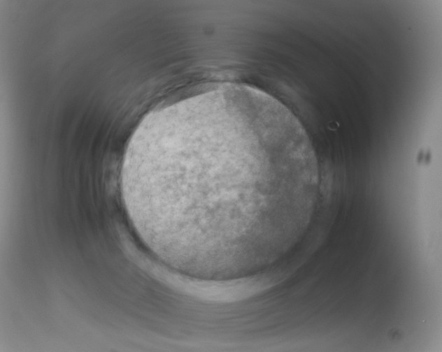 X0000113070030200910091218