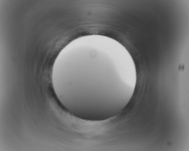 X0000113070031200910091218
