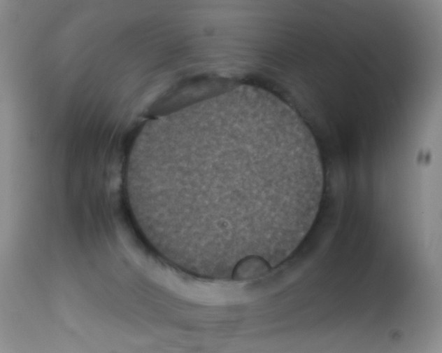 X0000113070032200910091218