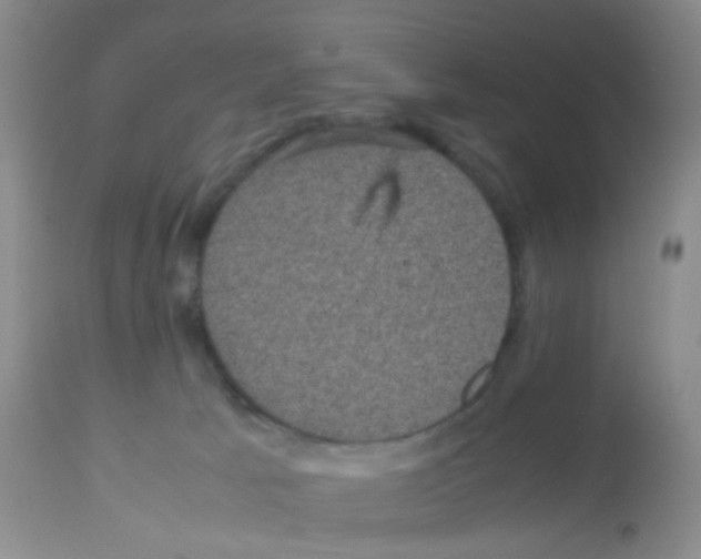 X0000113070033200910091218