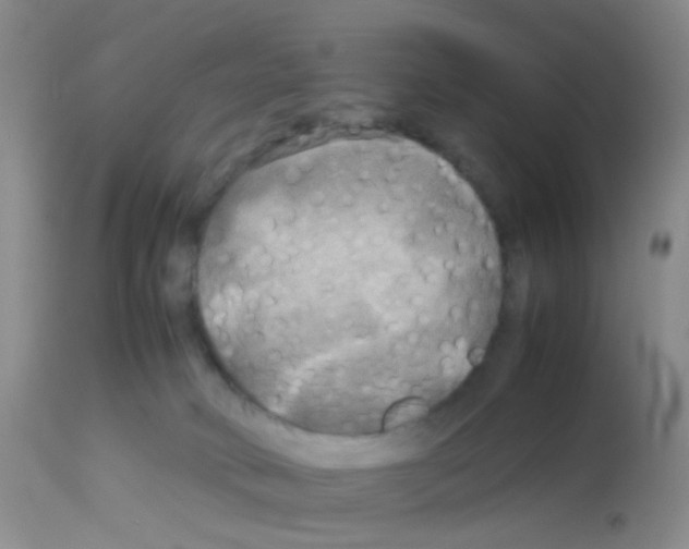 X0000113070034200910091218