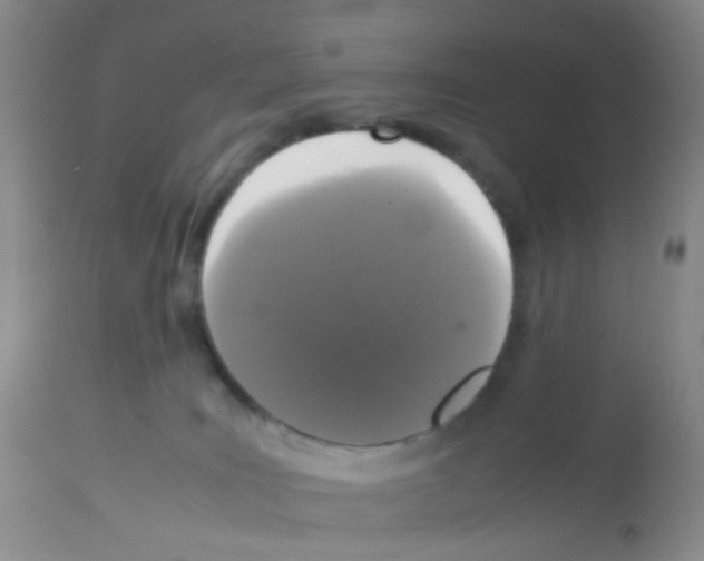 X0000113070035200910091218