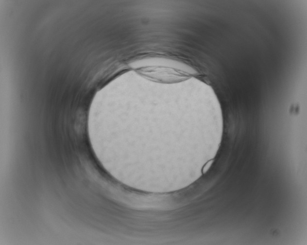 X0000113070036200910091218