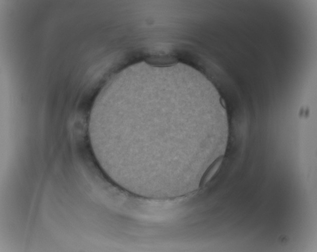 X0000113070037200910091218