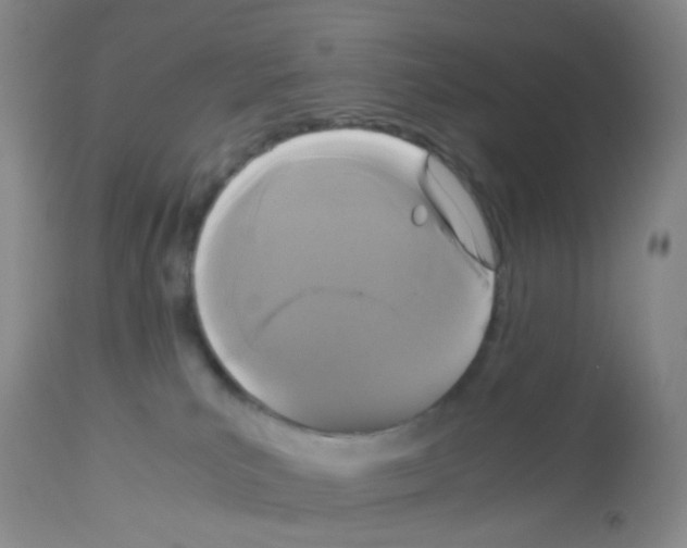X0000113070039200910091218
