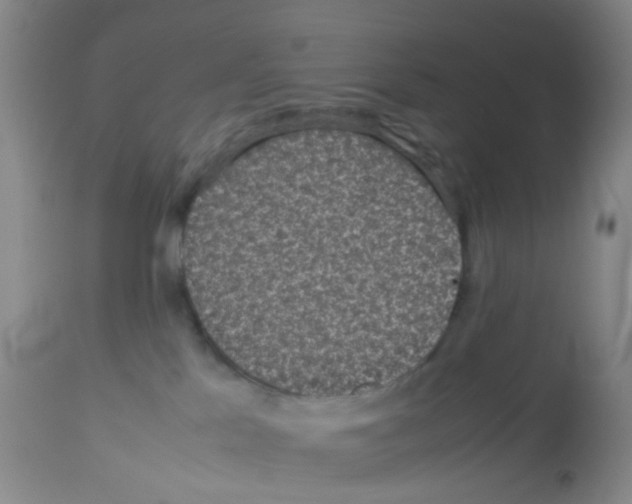 X0000113070041200910091218