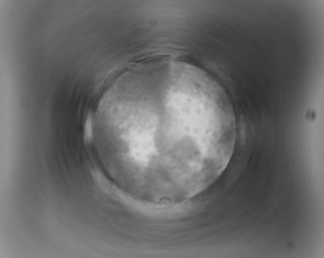 X0000113070042200910091218