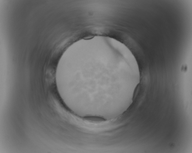 X0000113070043200910091218