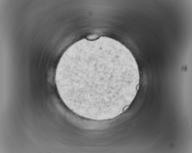 X0000113070044200910091218