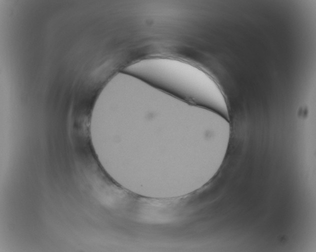 X0000113070045200910091218