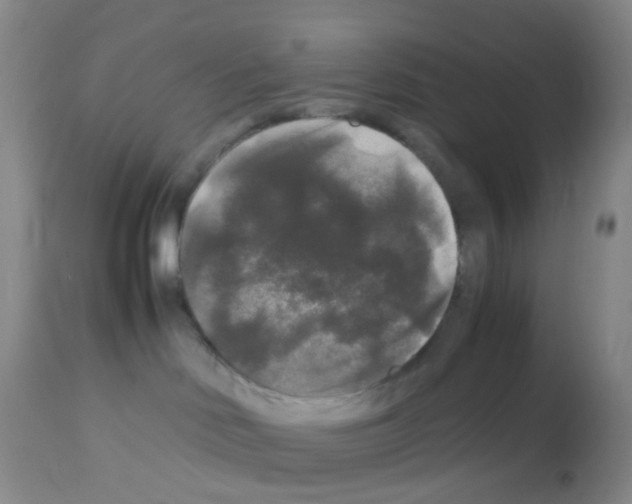 X0000113070046200910091218