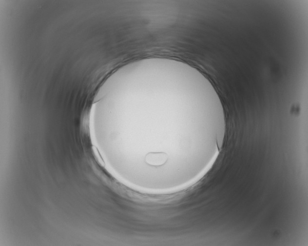 X0000113070047200910091218