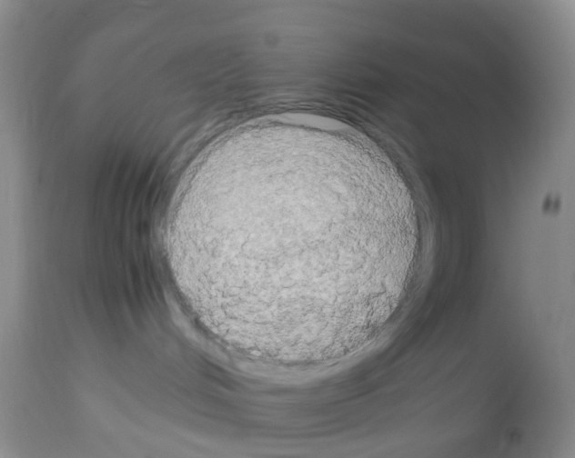 X0000113070048200910091218