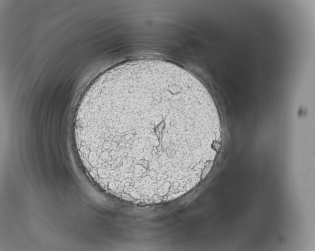X0000113070049200910091217