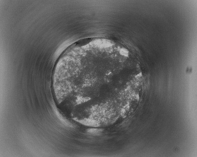 X0000113070051200910091217