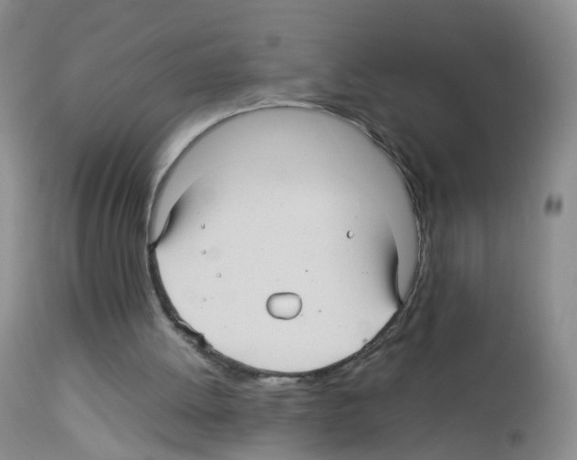 X0000113070052200910091217