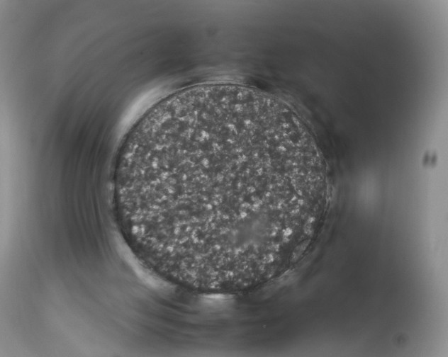 X0000113070053200910091217