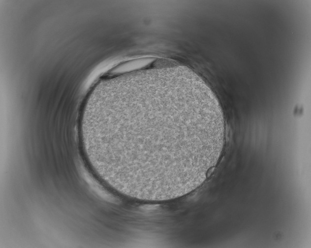 X0000113070054200910091217