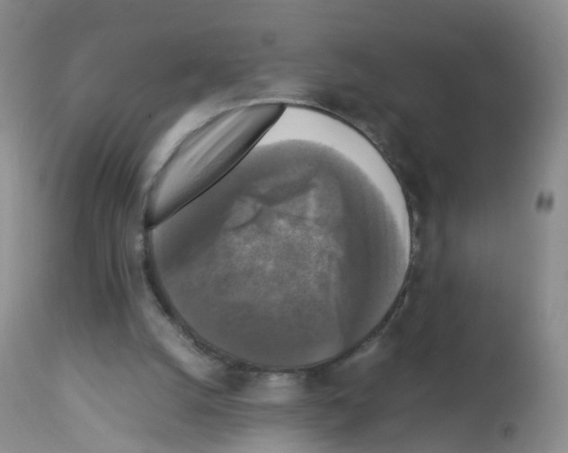 X0000113070056200910091217