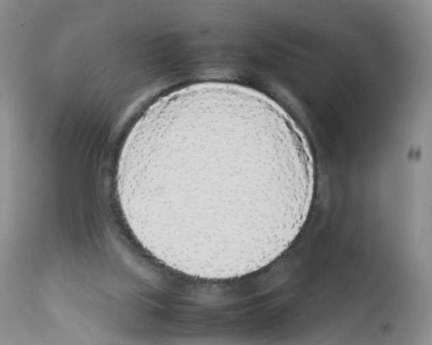 X0000113070059200910091217