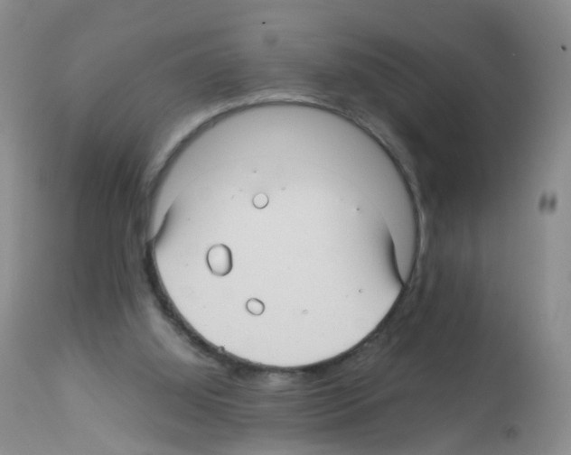 X0000113070060200910091217