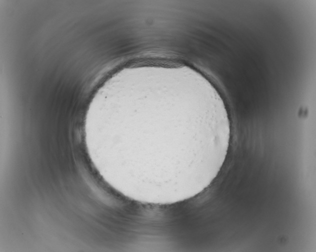 X0000113070062200910091217