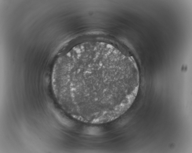 X0000113070063200910091217