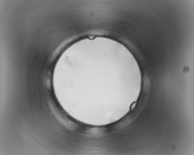 X0000113070064200910091217
