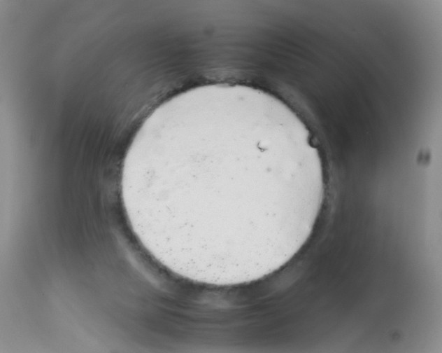 X0000113070065200910091217