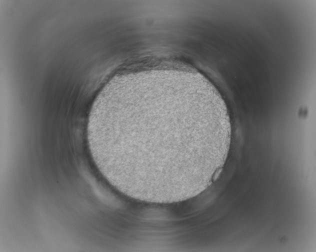 X0000113070066200910091217