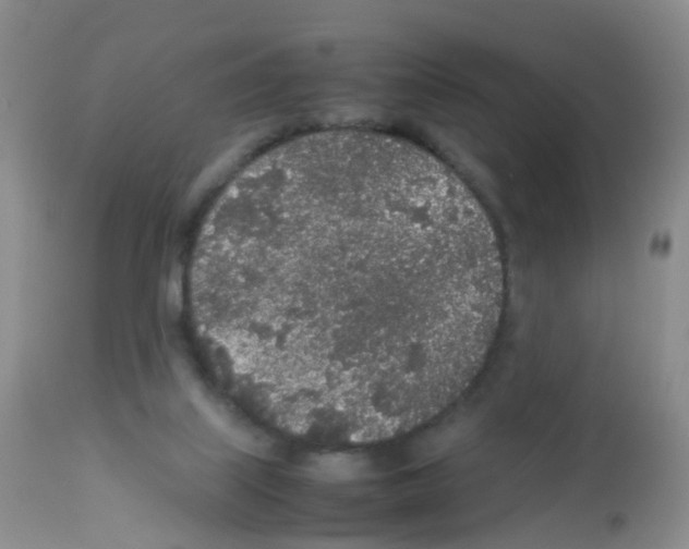 X0000113070067200910091217