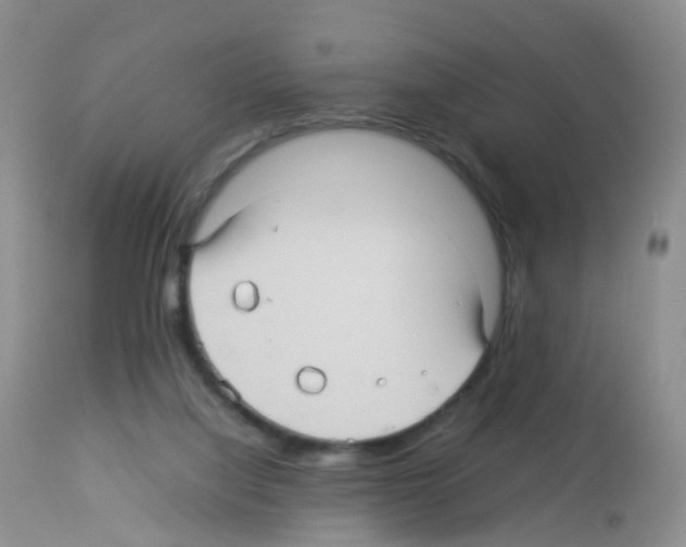 X0000113070068200910091217