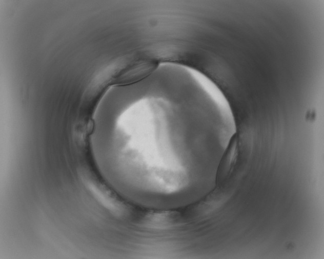 X0000113070072200910091218